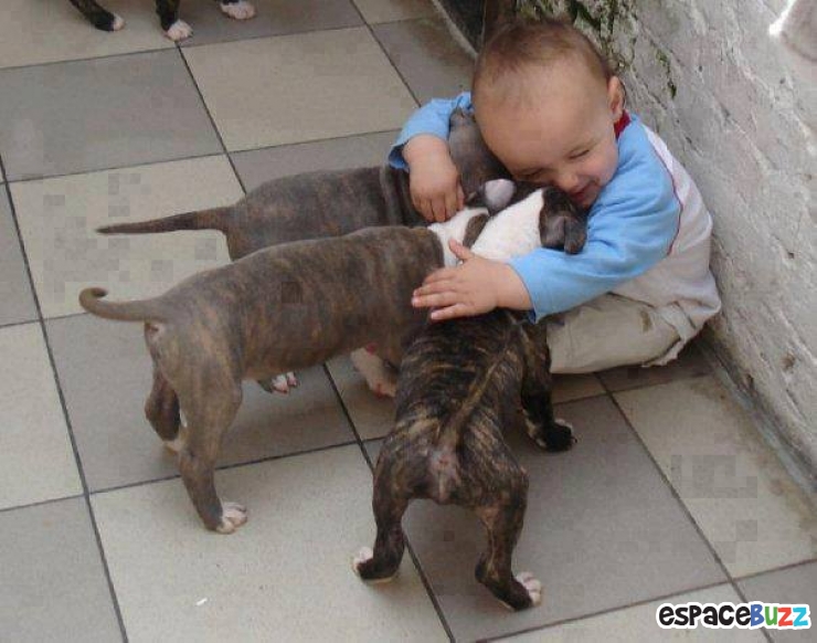 Illustration de l'article : L’amitié entre bébés et animaux à travers 14 photos attendrissantes!