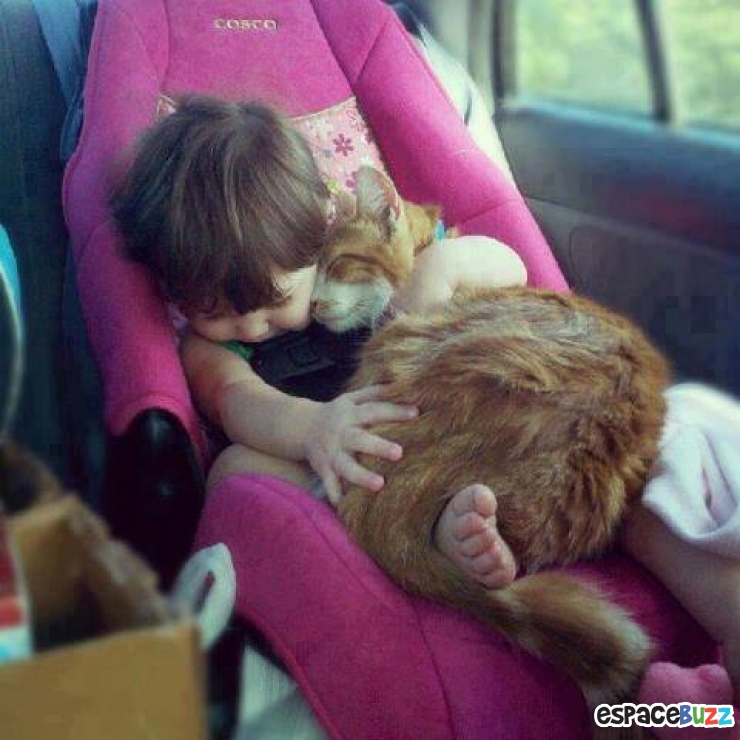 Illustration de l'article : L’amitié entre bébés et animaux à travers 14 photos attendrissantes!