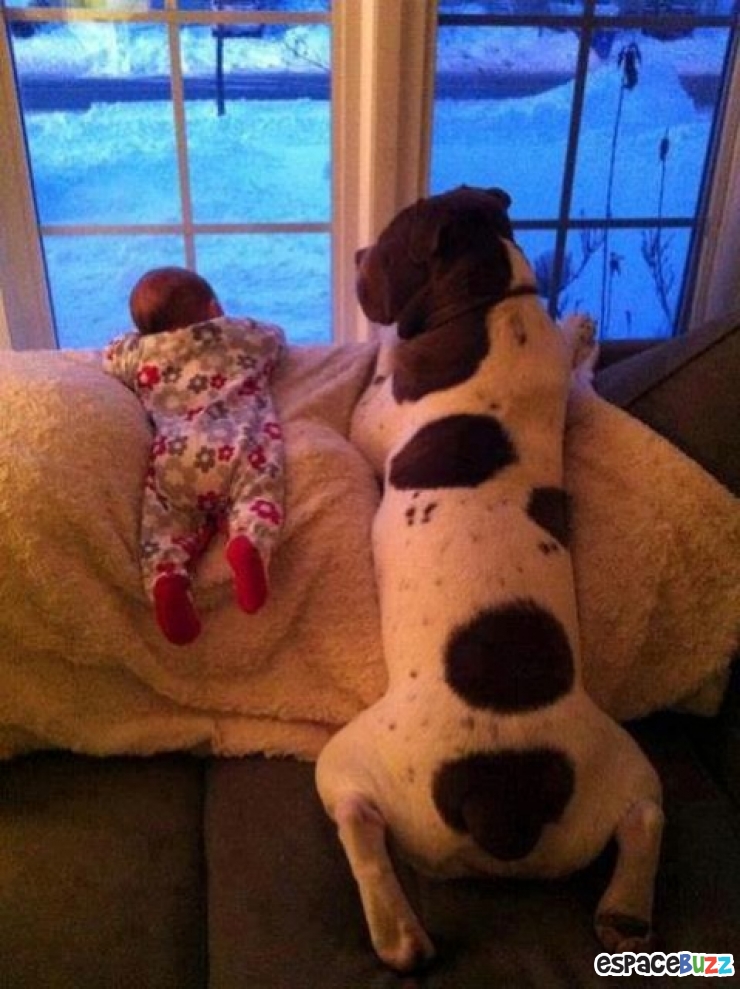 Illustration de l'article : L’amitié entre bébés et animaux à travers 14 photos attendrissantes!