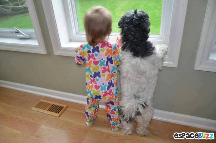 Illustration de l'article : L’amitié entre bébés et animaux à travers 14 photos attendrissantes!