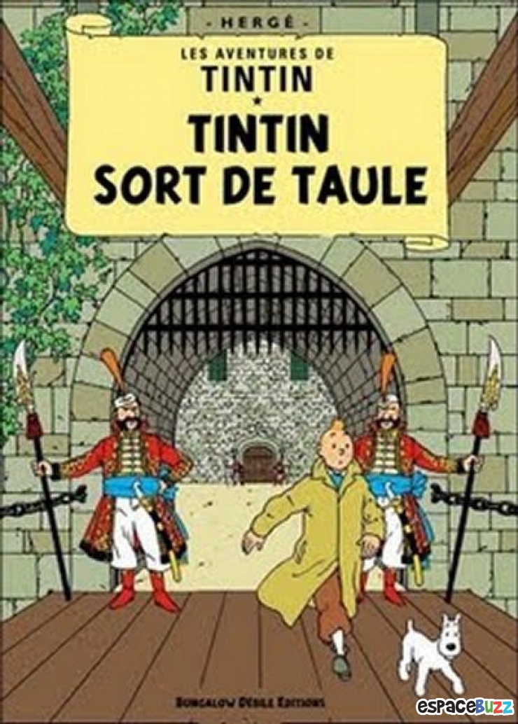 Illustration de l'article : Top 10 des meilleurs détournements de titres de B.D. Tintin