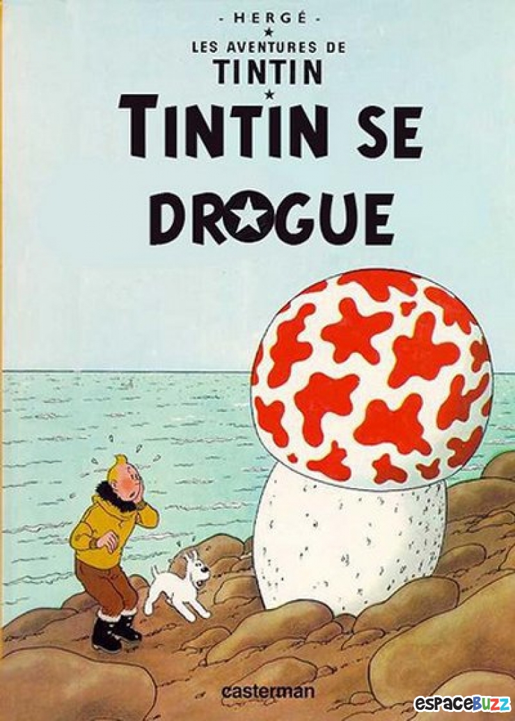 Illustration de l'article : Top 10 des meilleurs détournements de titres de B.D. Tintin