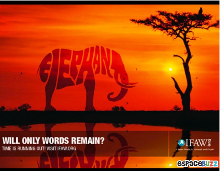 Illustration de l'article : Top 14 des campagnes publicitaires choc pour la protection de l&rsquo;environnement