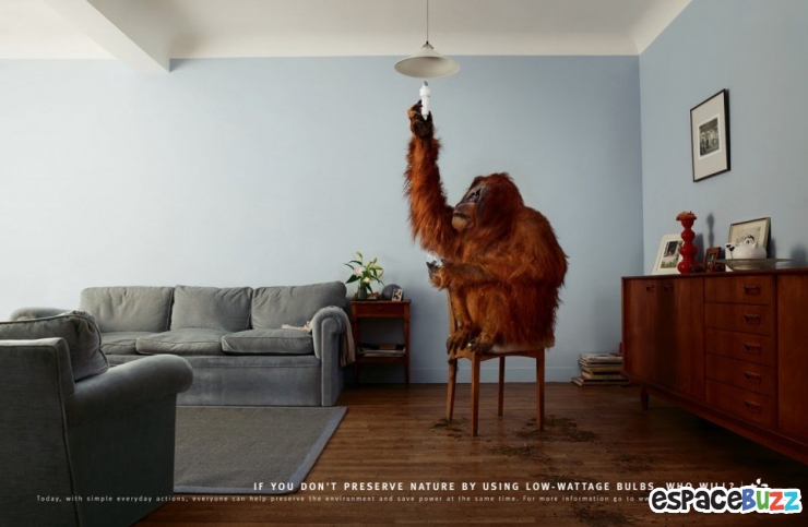 Illustration de l'article : Top 14 des campagnes publicitaires choc pour la protection de l&rsquo;environnement