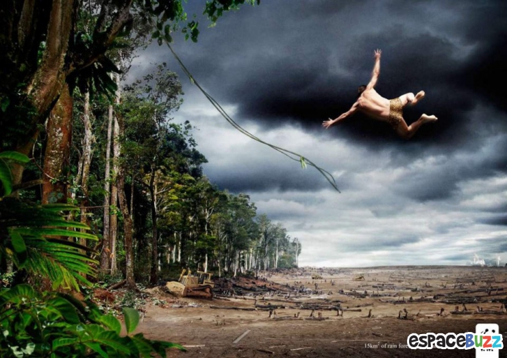 Illustration de l'article : Top 14 des campagnes publicitaires choc pour la protection de l&rsquo;environnement