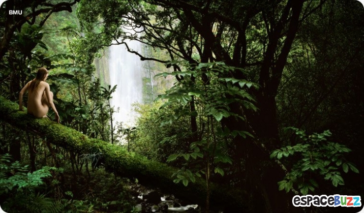 Illustration de l'article : Top 14 des campagnes publicitaires choc pour la protection de l&rsquo;environnement