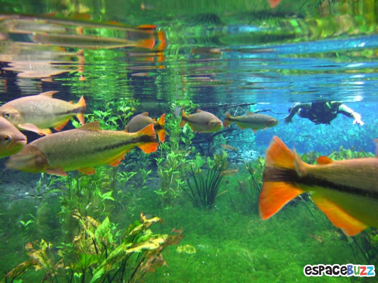 Illustration de l'article : 12 eaux parmi les plus limpides au monde