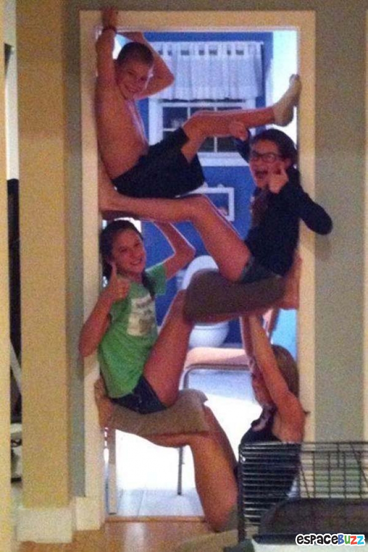 Illustration de l'article : L'union fait la force ! Voici 12 preuves en images