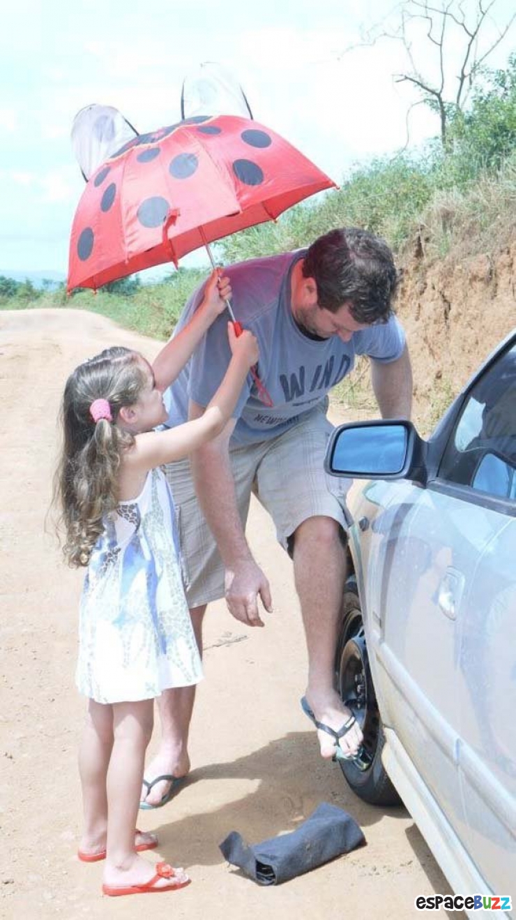 Illustration de l'article : L'union fait la force ! Voici 12 preuves en images