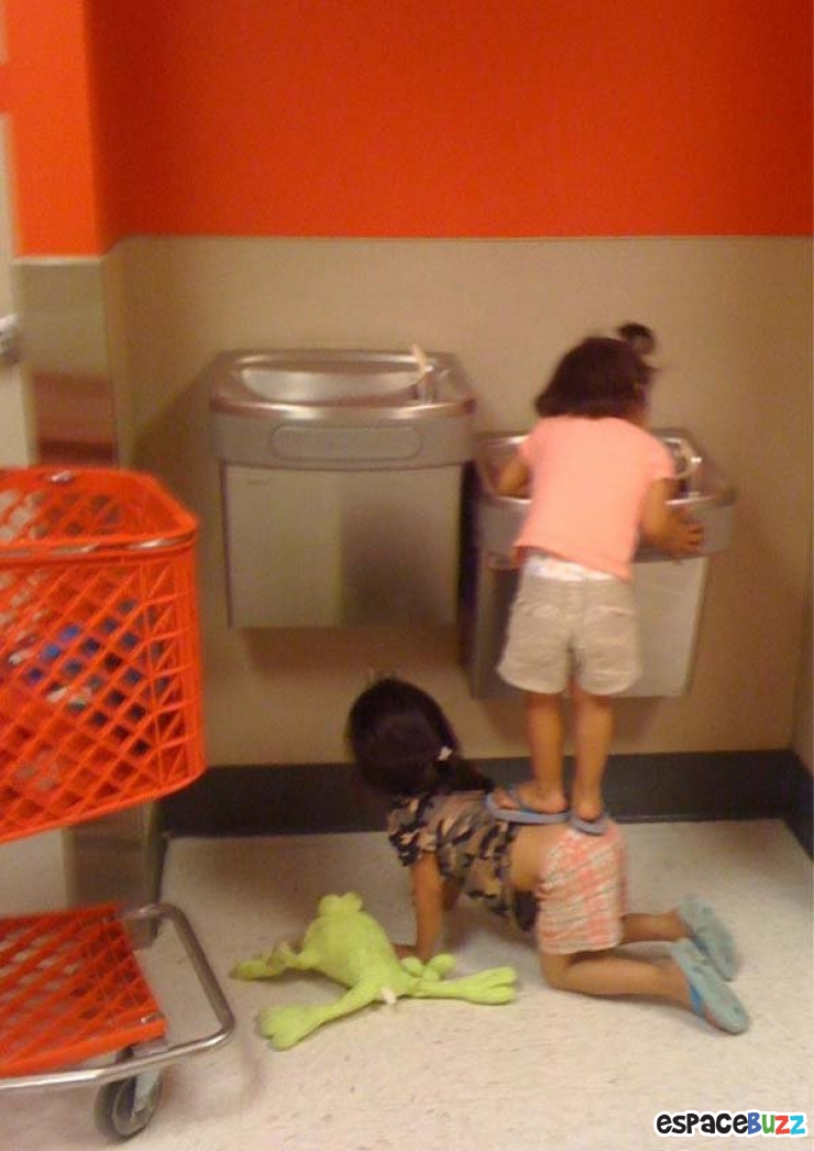 Illustration de l'article : L'union fait la force ! Voici 12 preuves en images