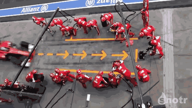 Illustration de l'article : L'union fait la force ! Voici 12 preuves en images