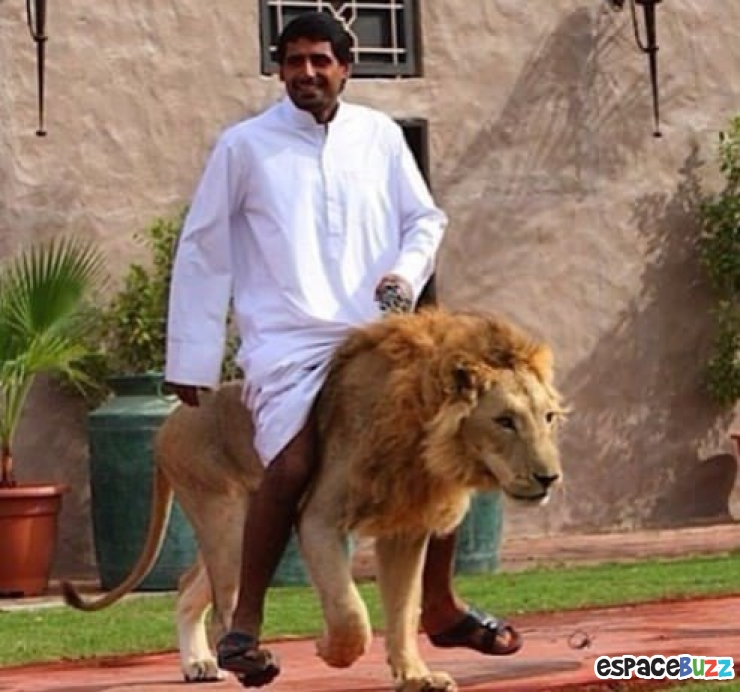 Illustration de l'article : 12 rencontres étranges que vous pouvez faire à Dubaï