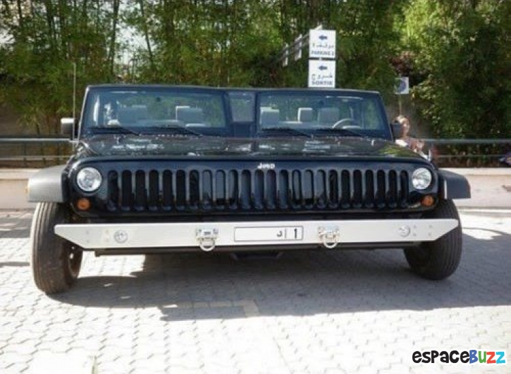 Illustration de l'article : 12 rencontres étranges que vous pouvez faire à Dubaï