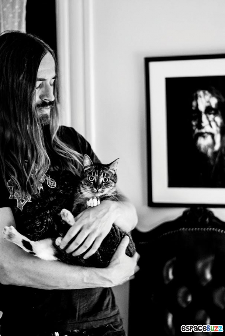 Illustration de l'article : Top 11 des photos les plus attendrissantes entre chats et Métalleux.