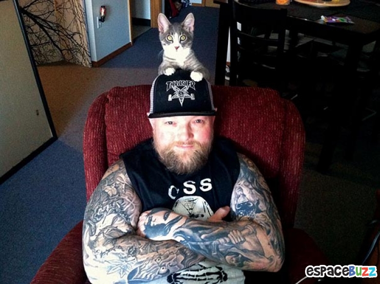 Illustration de l'article : Top 11 des photos les plus attendrissantes entre chats et Métalleux.