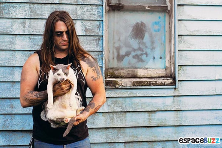 Illustration de l'article : Top 11 des photos les plus attendrissantes entre chats et Métalleux.