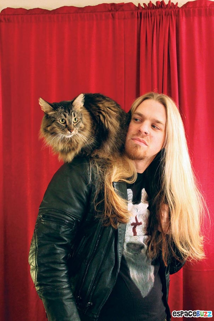 Illustration de l'article : Top 11 des photos les plus attendrissantes entre chats et Métalleux.