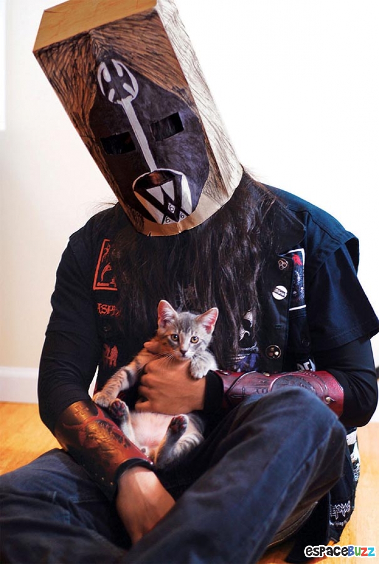 Illustration de l'article : Top 11 des photos les plus attendrissantes entre chats et Métalleux.