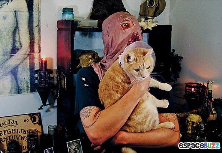 Illustration de l'article : Top 11 des photos les plus attendrissantes entre chats et Métalleux.