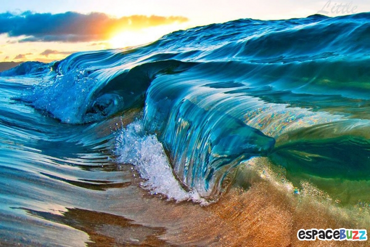Illustration de l'article : Les 10 plus belles photos prises sous les vagues par Clark Little