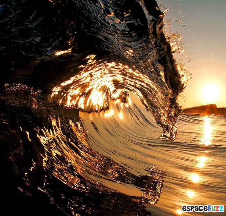 Illustration de l'article : Les 10 plus belles photos prises sous les vagues par Clark Little