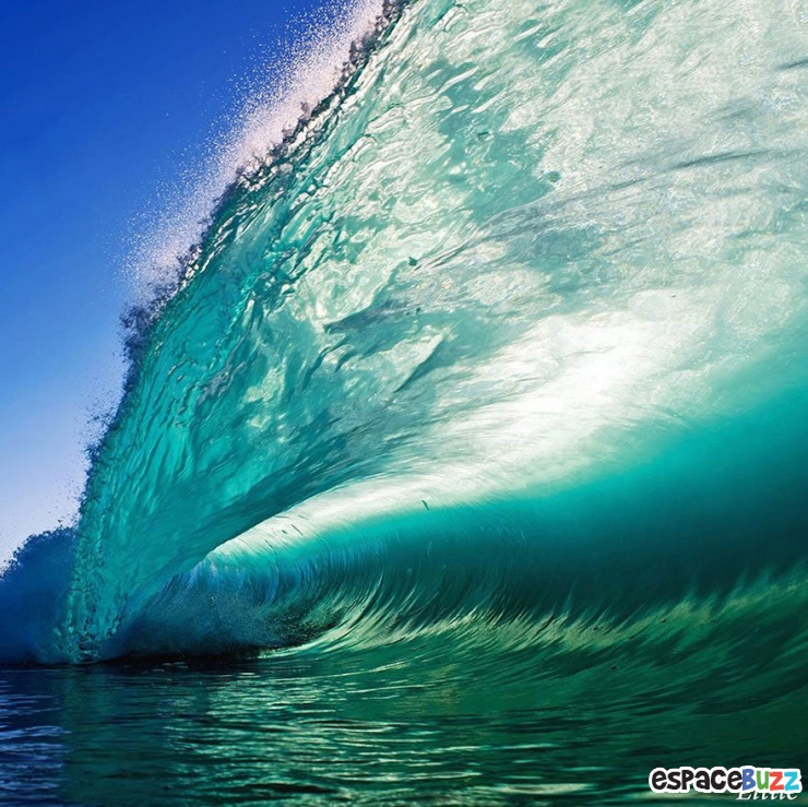 Illustration de l'article : Les 10 plus belles photos prises sous les vagues par Clark Little