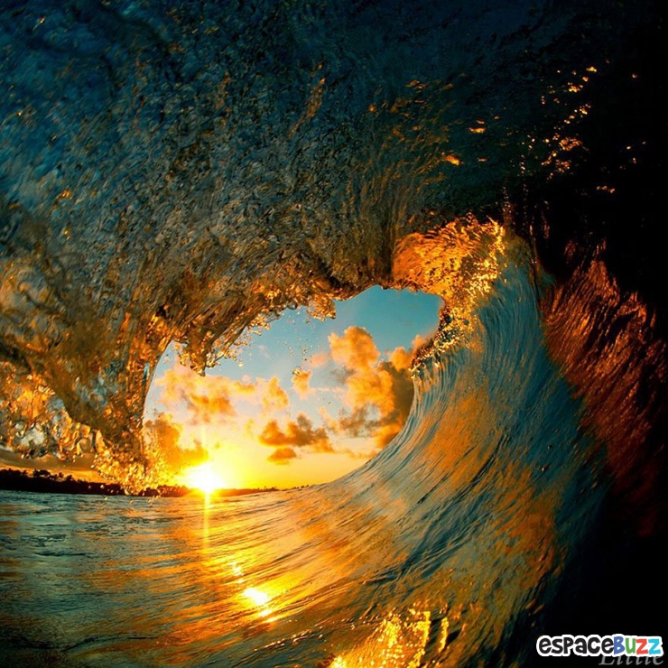 Illustration de l'article : Les 10 plus belles photos prises sous les vagues par Clark Little