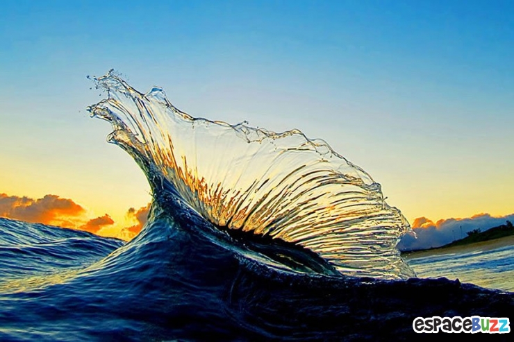 Illustration de l'article : Les 10 plus belles photos prises sous les vagues par Clark Little