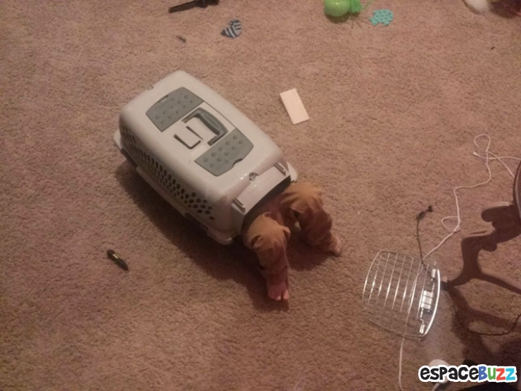 Illustration de l'article : Nos enfants sont des petits monstres: La preuve en 10 photos!