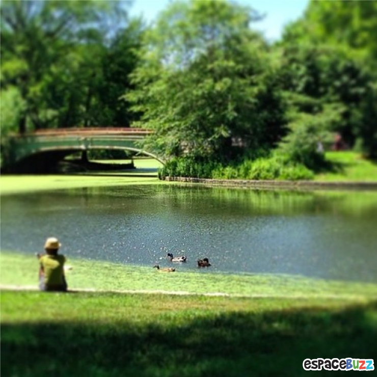 Illustration de l'article : 10 lieux à voir absolument si vous envisagez de visiter New York