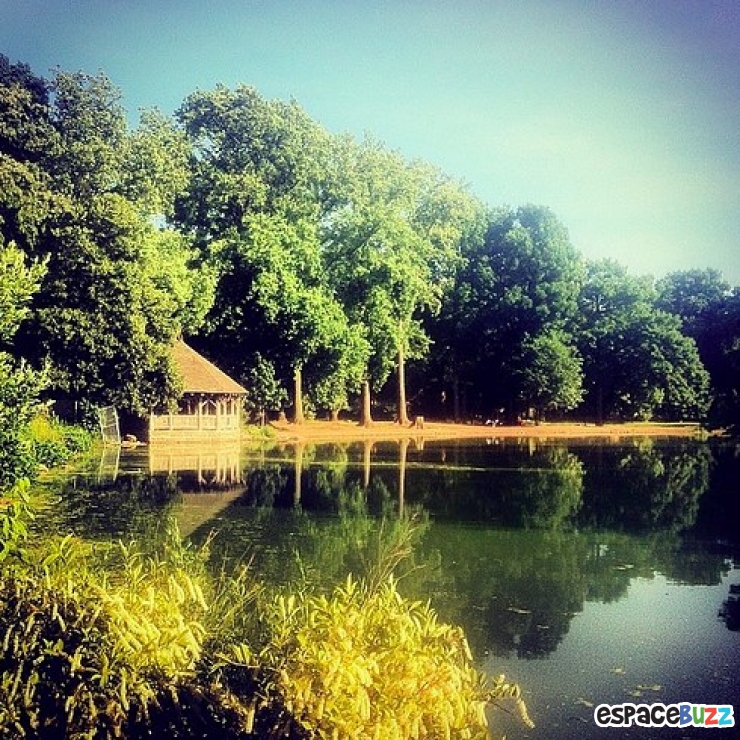 Illustration de l'article : 10 lieux à voir absolument si vous envisagez de visiter New York