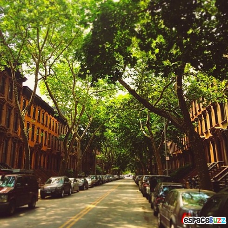 Illustration de l'article : 10 lieux à voir absolument si vous envisagez de visiter New York