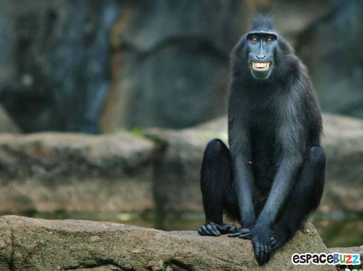 Illustration de l'article : 14 photos de sourires à travers le monde