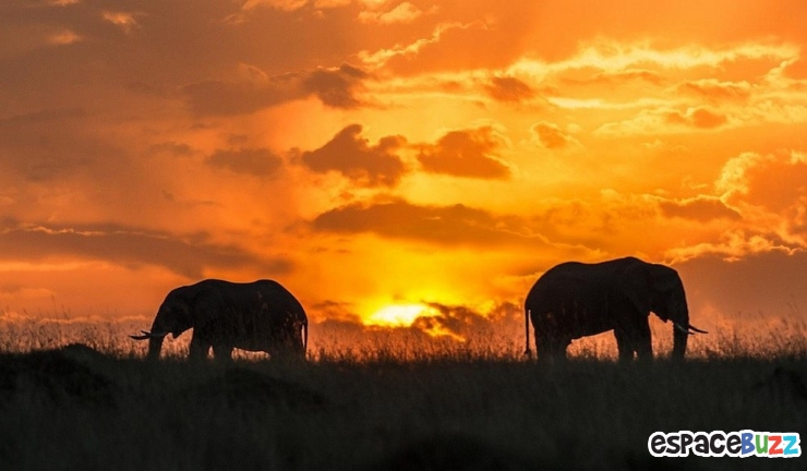 Illustration de l'article : Les 8 plus beaux couchers de soleil du monde!