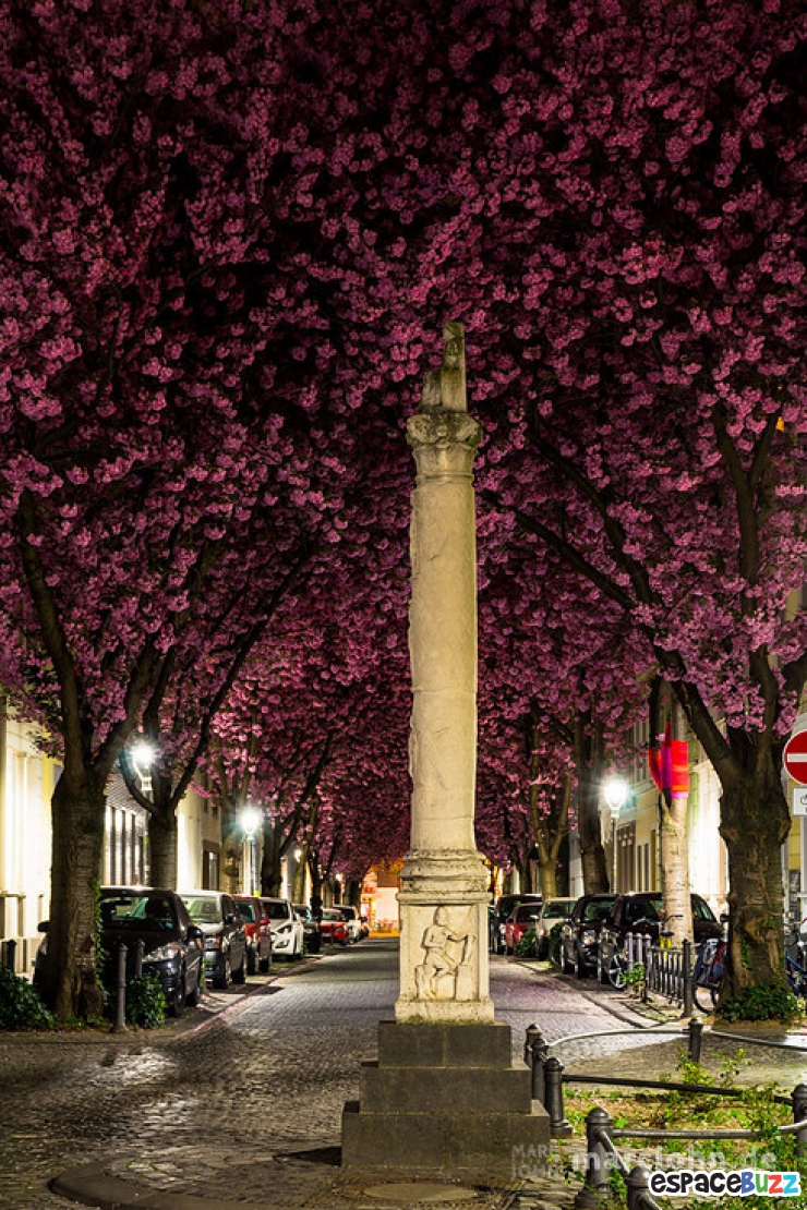 Illustration de l'article : 10 lieux parmi les plus magnifiques sur notre planète