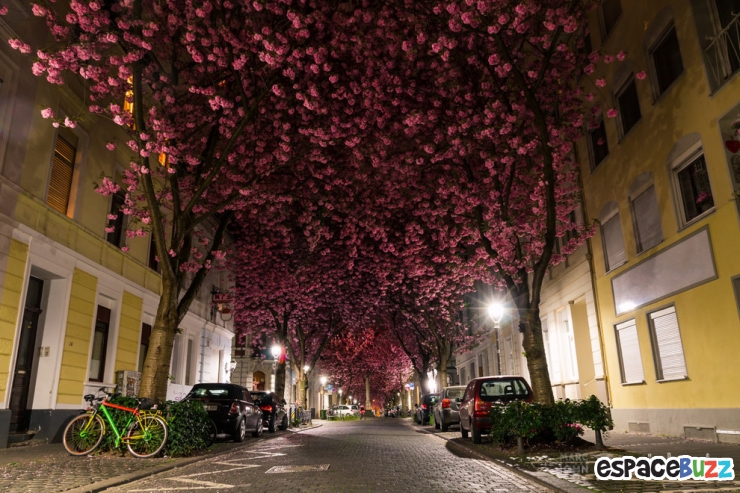 Illustration de l'article : 10 lieux parmi les plus magnifiques sur notre planète