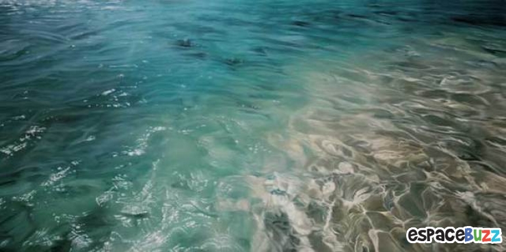 Illustration de l'article : Les tableaux incroyablement réalistes de l’artiste Zaria Forman