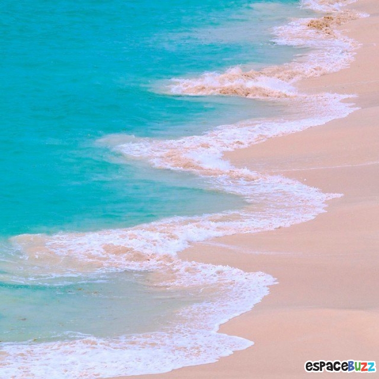 Illustration de l'article : 12 photos pleines de fraîcheur pour oublier la canicule