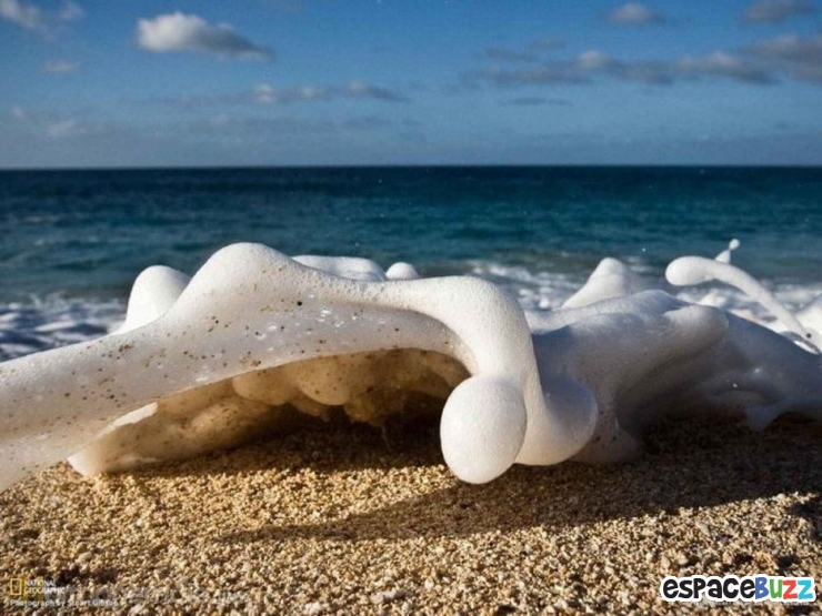 Illustration de l'article : 12 photos pleines de fraîcheur pour oublier la canicule