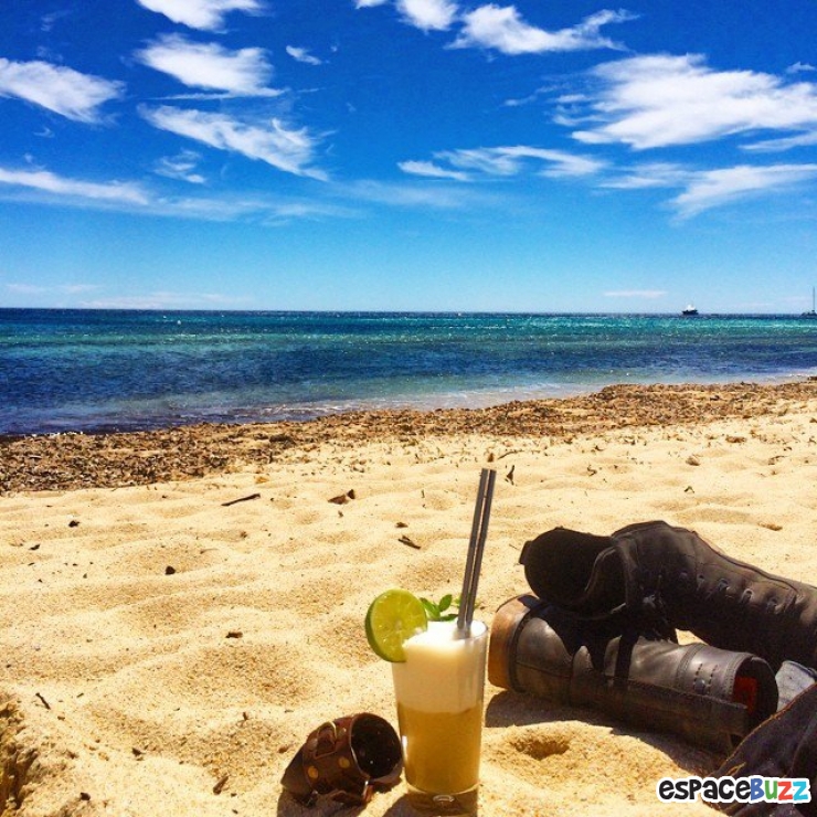 Illustration de l'article : 12 photos pleines de fraîcheur pour oublier la canicule