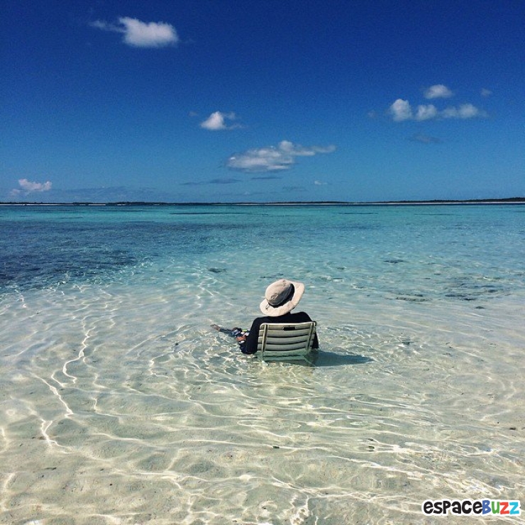 Illustration de l'article : 12 photos pleines de fraîcheur pour oublier la canicule