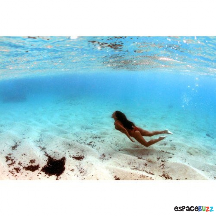 Illustration de l'article : 12 photos pleines de fraîcheur pour oublier la canicule