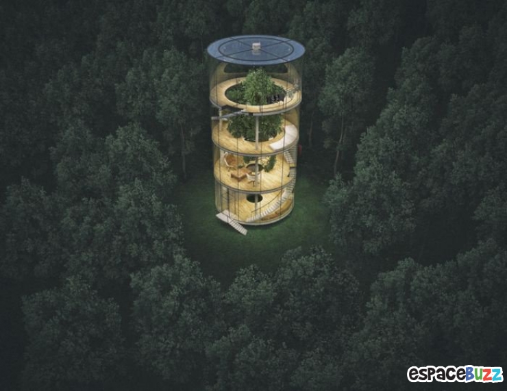 Illustration de l'article : L'incroyable maison dans les bois
