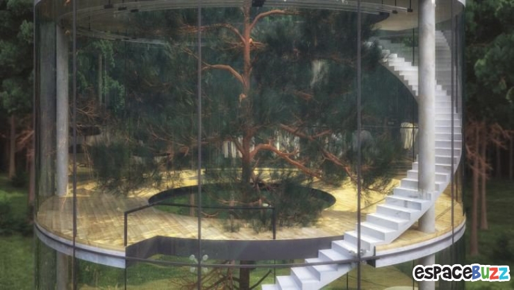 Illustration de l'article : L'incroyable maison dans les bois