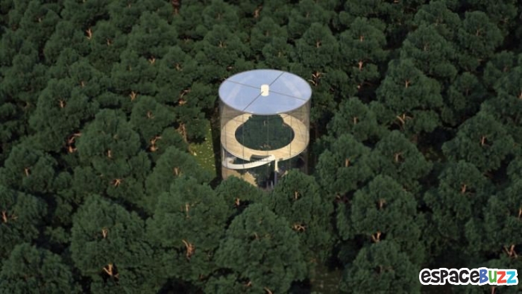Illustration de l'article : L'incroyable maison dans les bois