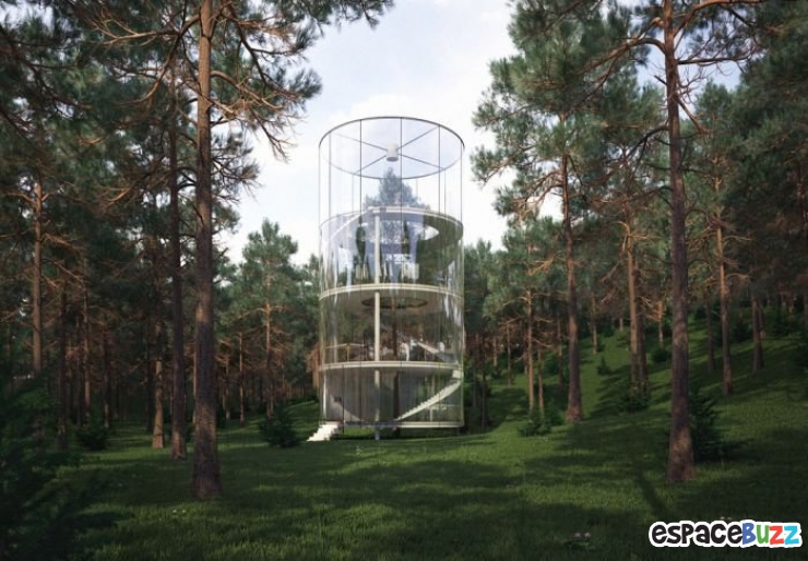 Illustration de l'article : L'incroyable maison dans les bois