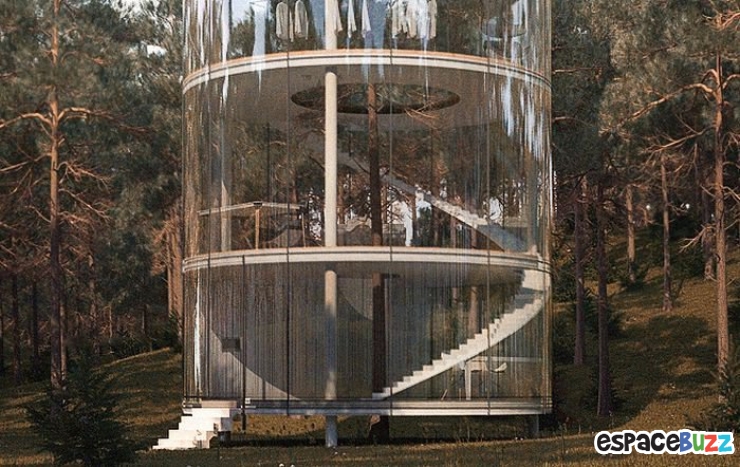 Illustration de l'article : L'incroyable maison dans les bois