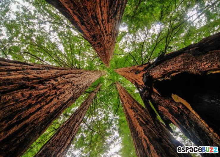 Illustration de l'article : 15 magnifiques photos de paysages californiens et autant de raisons de visiter la Californie