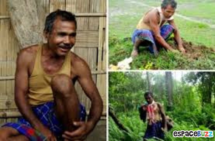 Illustration de l'article : Il a planté une forêt à lui tout seul