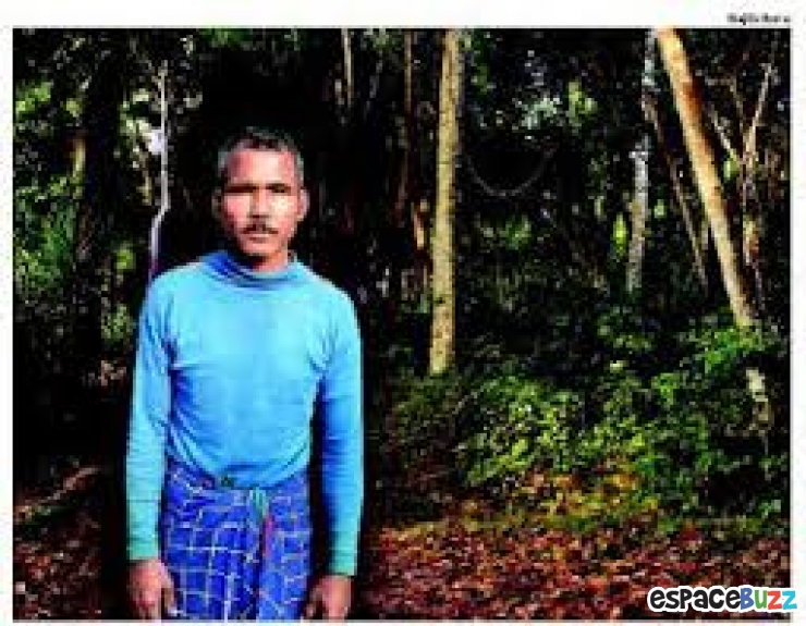 Illustration de l'article : Il a planté une forêt à lui tout seul